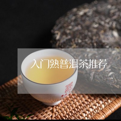 入门熟普洱茶推荐/2023040923704