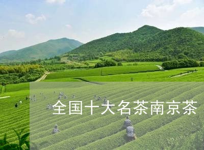 全国十大名茶南京茶/2023032142827