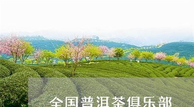 全国普洱茶俱乐部/2023041018361