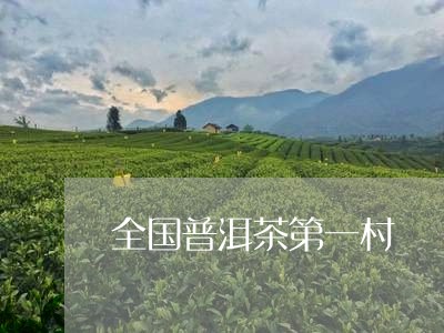 全国普洱茶第一村/2023033011706