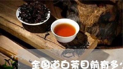 全国道白茶目前有多少家店/2023040225251