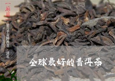 全球最好的普洱茶/2023041078493