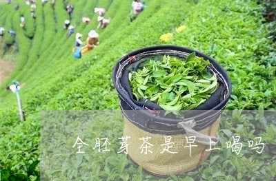 全胚芽茶是早上喝吗/2023031898160