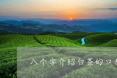 八个字介绍白茶的口感特征/2023040121614