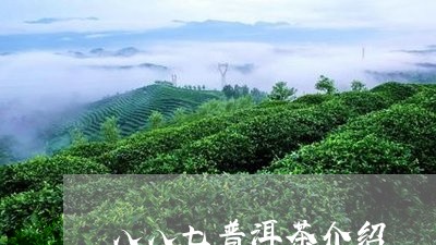 八八七普洱茶介绍/2023041091706