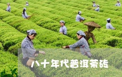 八十年代普洱茶砖/2023041302615