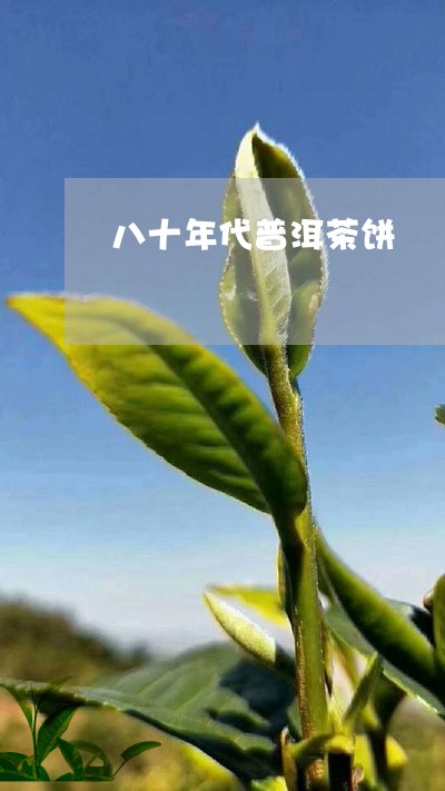 八十年代普洱茶饼/2023033071613