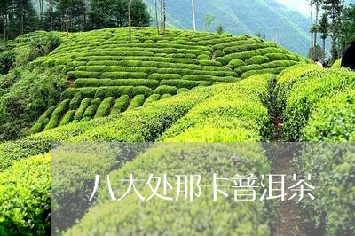 八大处那卡普洱茶/2023041266204