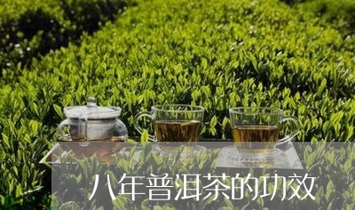 八年普洱茶的功效/2023033088581