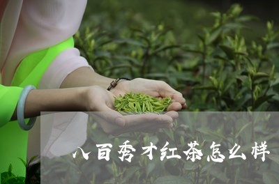 八百秀才红茶怎么样/2023041540583