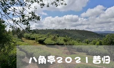 八角亭2021昔归/2023041541593