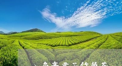 八角亭君子竹筒茶/2023032587053