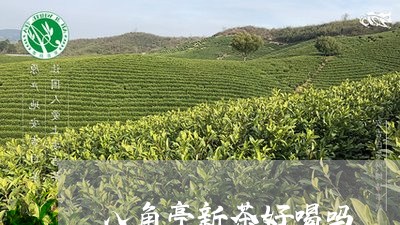 八角亭新茶好喝吗/2023032572635