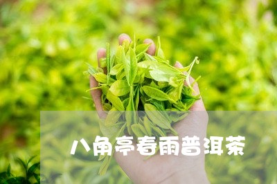 八角亭春雨普洱茶/2023033040815