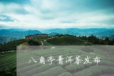 八角亭普洱茶发布/2023033078574