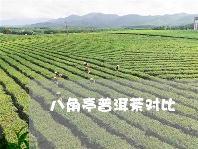 八角亭普洱茶对比/2023033048580