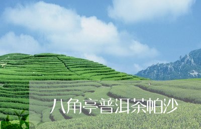 八角亭普洱茶帕沙/2023033066371