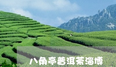 八角亭普洱茶淄博/2023033074817