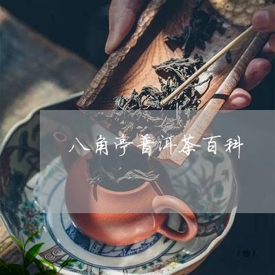 八角亭普洱茶百科/2023033081825