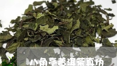 八角亭普洱茶真伪/2023033078501