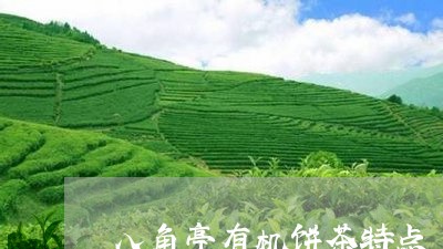 八角亭有机饼茶特点/2023041626602