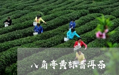 八角亭黄标普洱茶/2023033085306