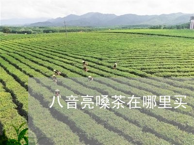 八音亮嗓茶在哪里买/2023041644069