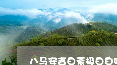 八马安吉白茶极白白叶一号/2023040182715