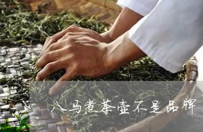 八马煮茶壶不是品牌/2023041565149