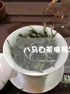 八马白茶推荐怎么样好喝吗/2023040282403