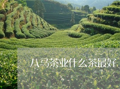 八马茶业什么茶最好/2023031925269