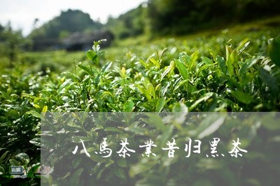 八马茶业昔归黑茶/2023032403614