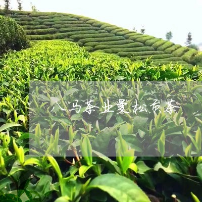 八马茶业曼松贡茶/2023032234724