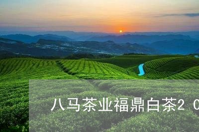 八马茶业福鼎白茶2019/2023033001503