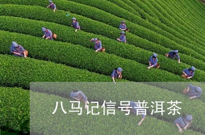 八马记信号普洱茶/2023031665260