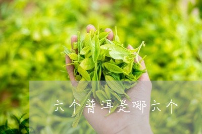 六个普洱是哪六个/2023032954047