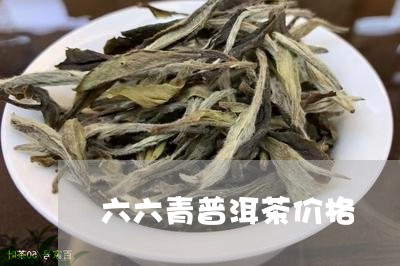 六六青普洱茶价格/2023040982138