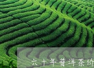 六十年普洱茶价格/2023031713038