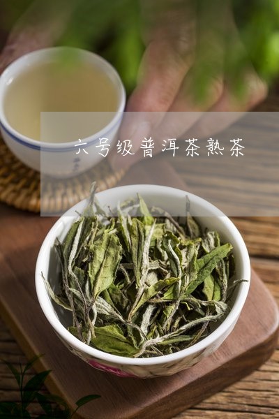 六号级普洱茶熟茶/2023033138583