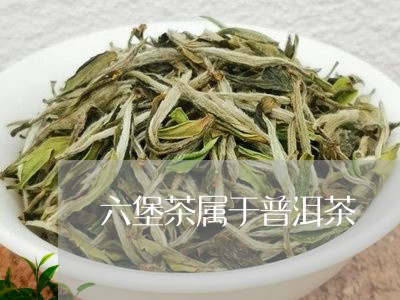 六堡茶属于普洱茶/2023041193859