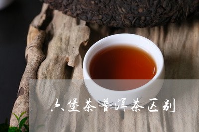 六堡茶普洱茶区别/2023041198372