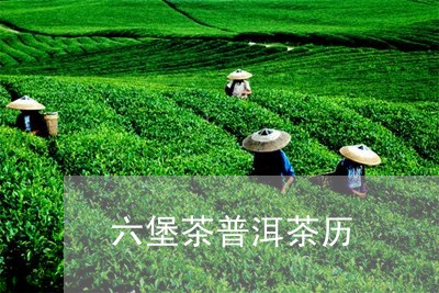 六堡茶普洱茶历/2023031605826