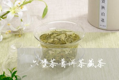 六堡茶普洱茶藏茶/2023041146941