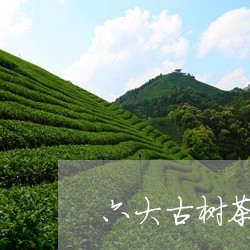 六大古树茶山龙圆号/2023032207251