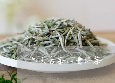 六大古茶山普洱茶/2023031874838