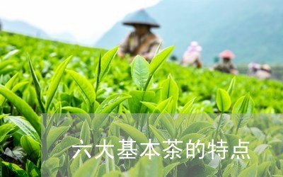 六大基本茶的特点/2023032598242