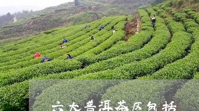 六大普洱茶区包括/2023033185150