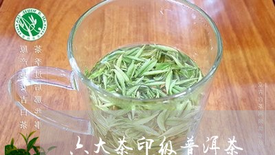 六大茶印级普洱茶/2023040186947