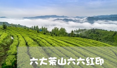 六大茶山六六红印/2023032550585