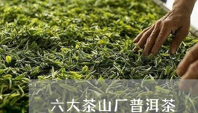 六大茶山厂普洱茶/2023033178483